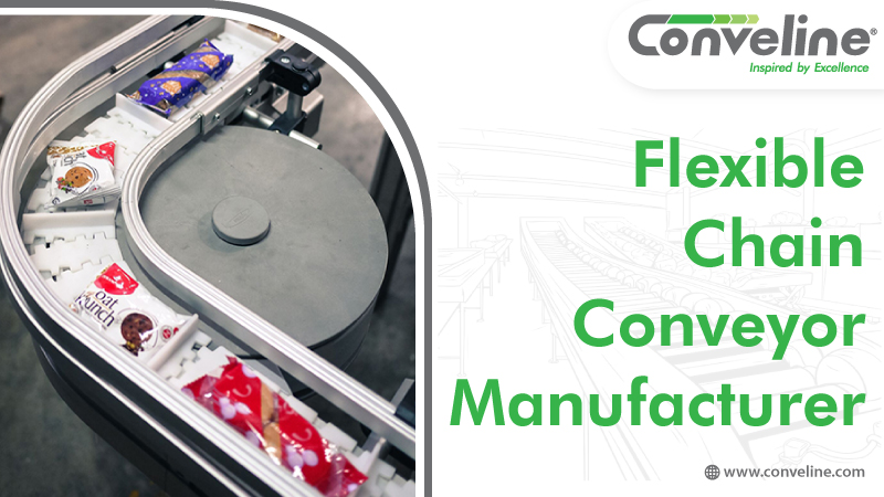 Flexible Chain Conveyor Manufacturer